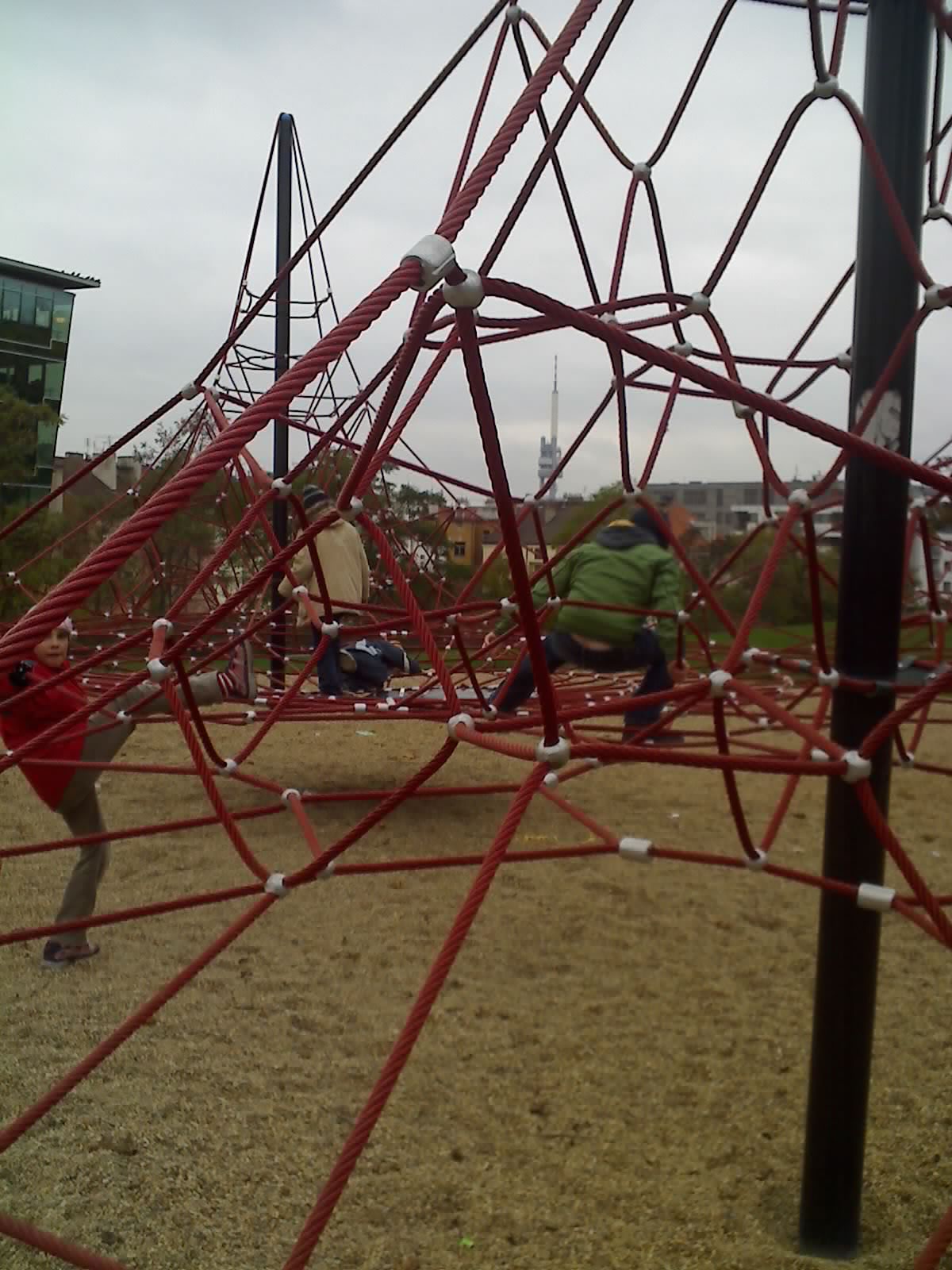 11-11-09_1422.jpg