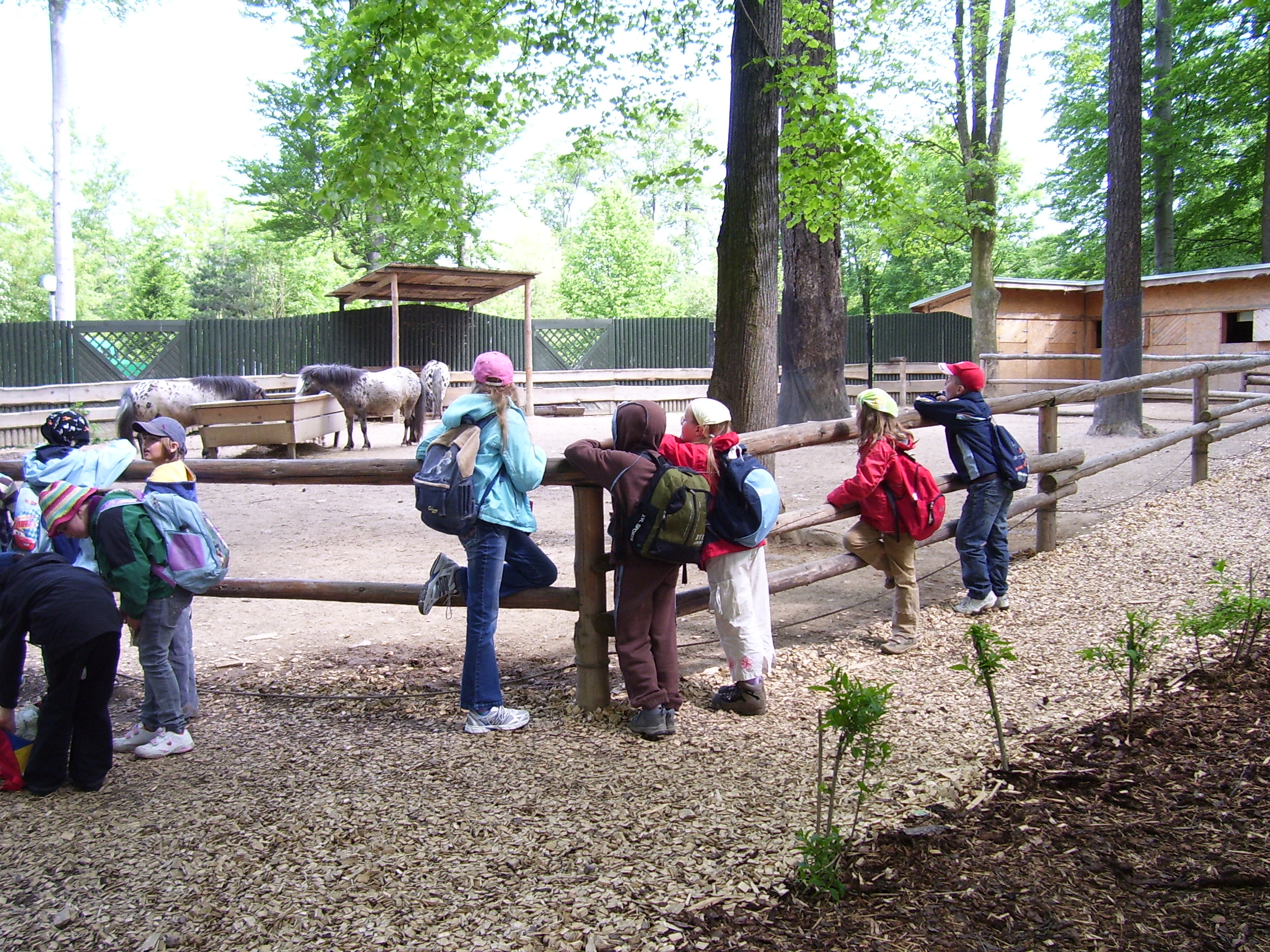OVK-zoo Liberec1.jpg