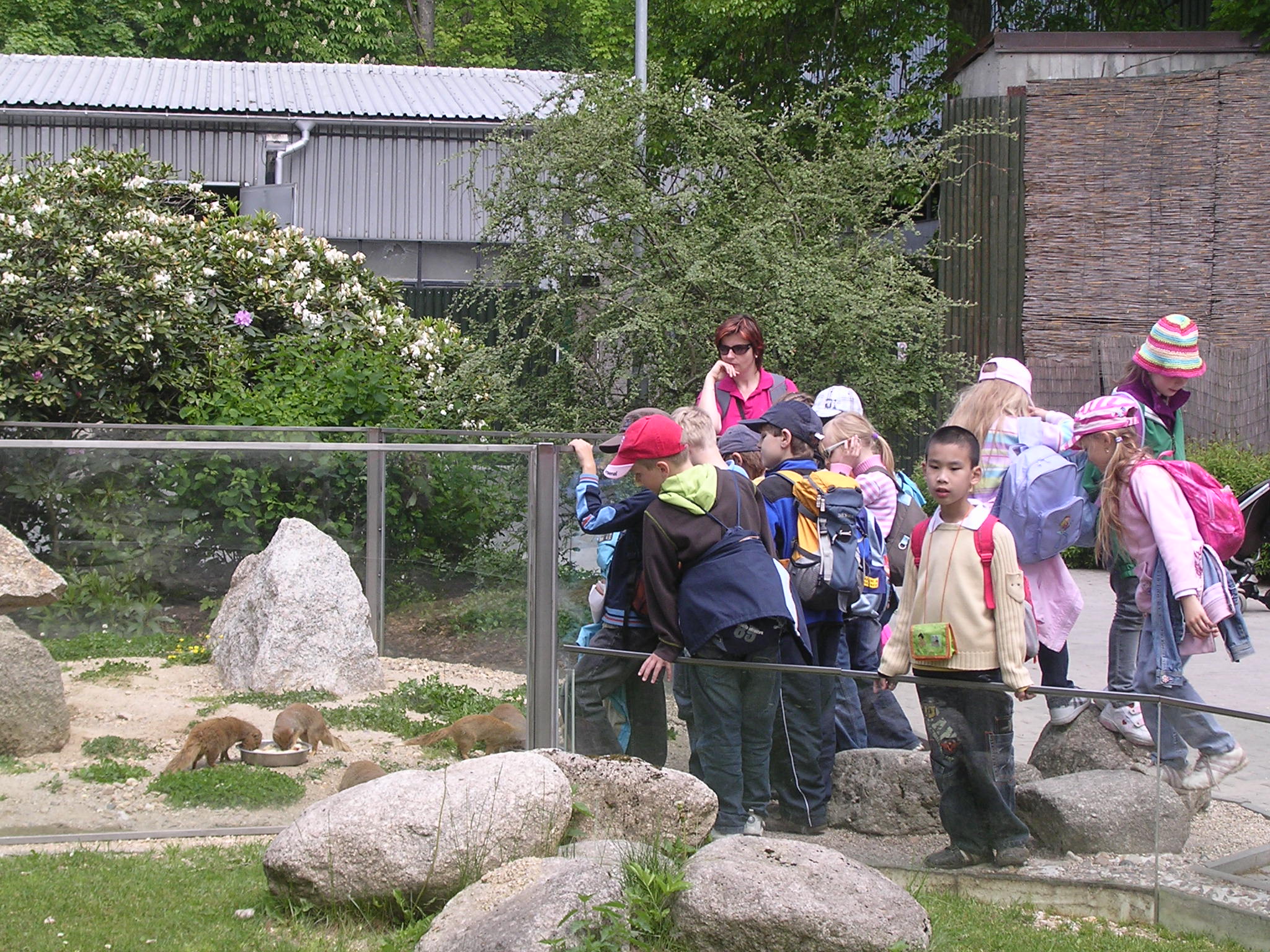 2009 116.jpg