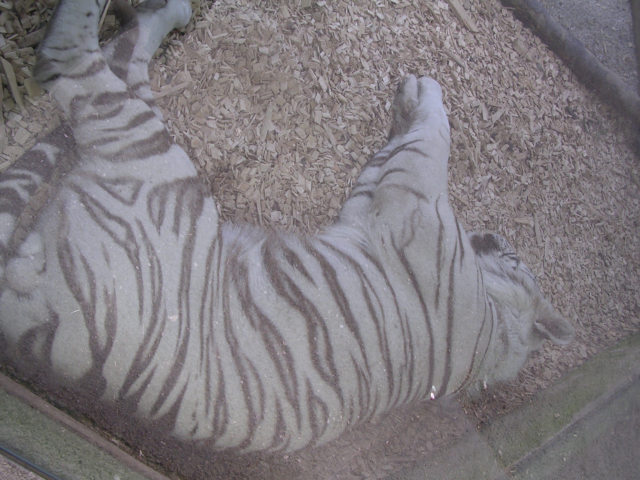 2009 121.jpg